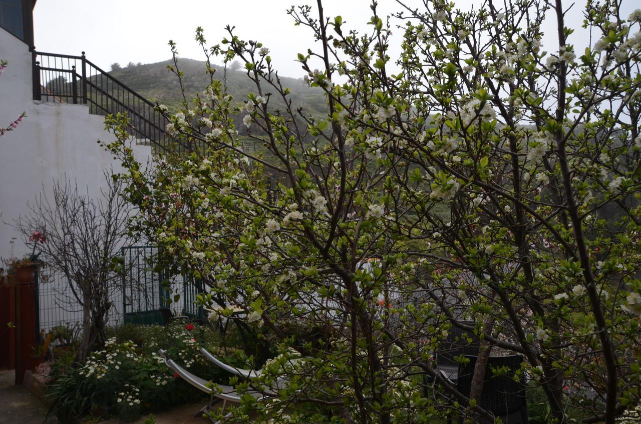 Rural Gomera Arure Exterior foto